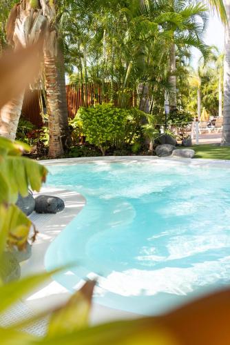 a swimming pool with blue water and palm trees at Parque Santiago III Official in Playa de las Americas