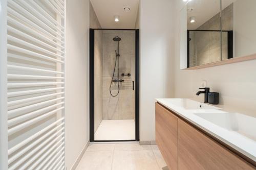 a bathroom with a shower and a sink at Dunique 0302 in Bredene-aan-Zee