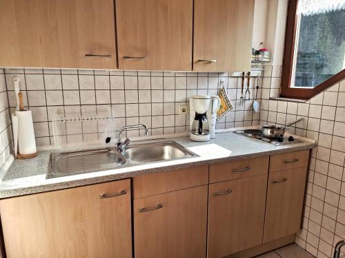 MaisachChristianshof的带水槽和台面的厨房