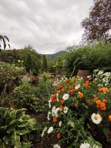 a garden filled with lots of colorful flowers at Green Park Guest House in Dilijan