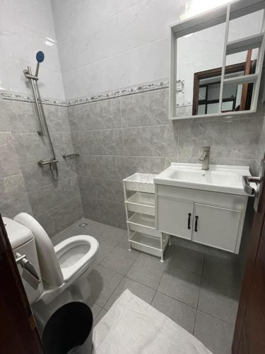 a bathroom with a toilet and a sink and a mirror at 3 Appartements Indépendants - 1 ou 2 Chambres - Du Voyageur Solo au Groupe de 10 personnes - Résidence Calme, Proche Abidjan in Abidjan