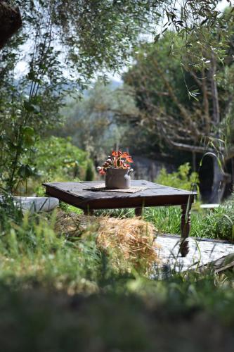 a wooden table with a pot of flowers on it at The SkyRoom - AUT vita sotto gli alberi in Calcata
