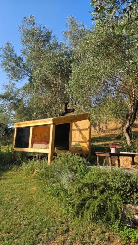 a house with a cat sitting on top of it at The SkyRoom - AUT vita sotto gli alberi in Calcata