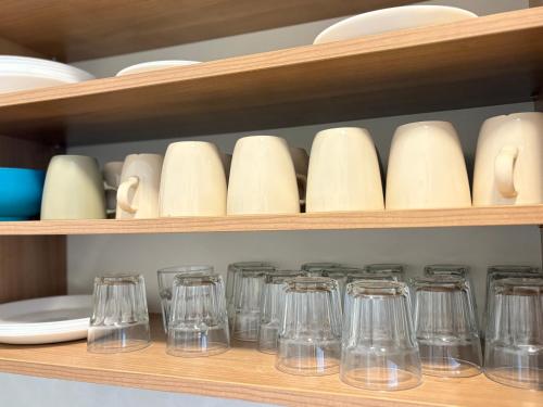 Malfatti Room Oasis Space