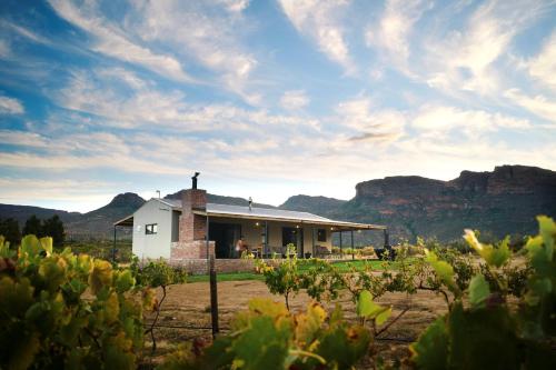 a house in a vineyard with mountains in the background at Alpha Excelsior Guest Farm in Cederberg