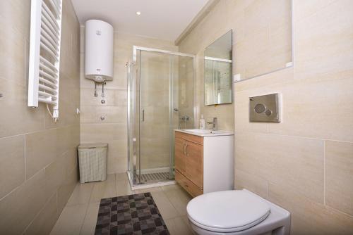a bathroom with a toilet and a shower and a sink at Vila Mina in Zlatibor