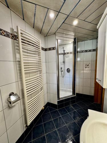 a bathroom with a shower and a toilet at Apartment Ausseerland - willkommen bei Freunden in Bad Aussee