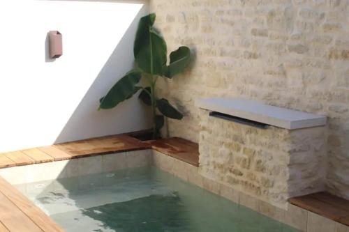 a pool of water in a room with a plant at Maison de charme à Mérindol + Jardin in Mérindol