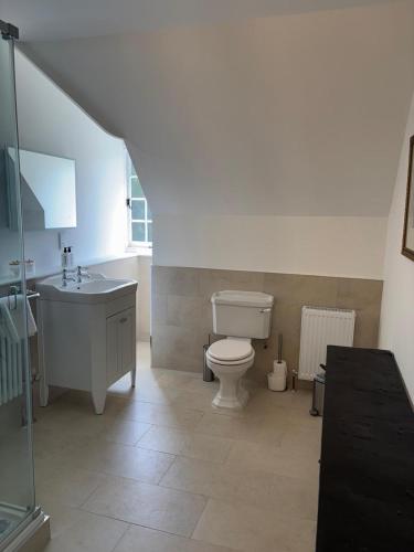 a bathroom with a toilet and a sink at Little Massingham Manor in Little Massingham