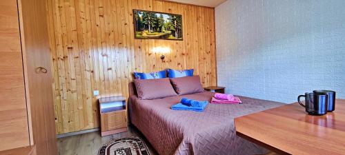 a bedroom with a bed with blue and pink pillows at U Nazara in Slavske