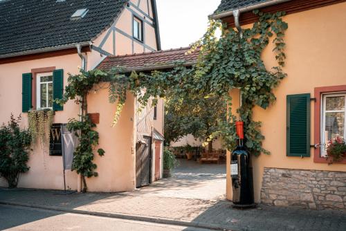 a building with ivy growing on the side of it at Weinhotel Wasem in Ingelheim am Rhein
