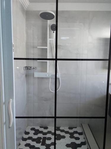 a glass shower door with a black and white floor at Tlhaping Guest Lodge in Standerton