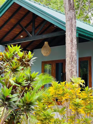a house with a tree and plants in front of it at Maritime Nest Cabanas in Tangalle
