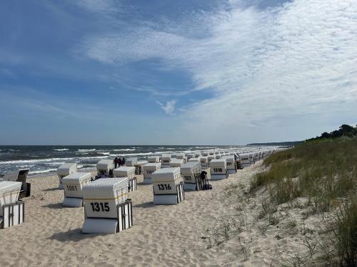 a row of beach chairs sitting on a sandy beach at Hotel Asgards Midgard in Zinnowitz