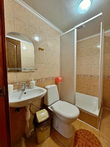 a bathroom with a toilet and a sink and a shower at U Nazara in Slavske