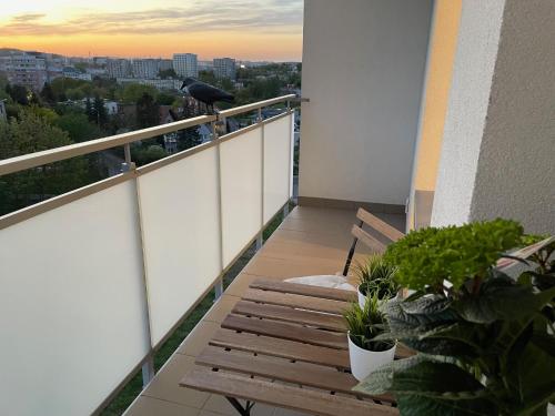 Μπαλκόνι ή βεράντα στο Gdynia Riviera Hills