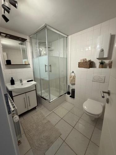 a bathroom with a shower and a toilet and a sink at City apartment by the waterfall in Saarburg