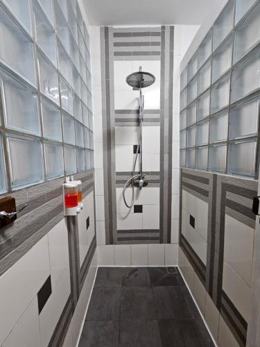 a bathroom with a shower stall and a shower at Gassy Country House Ivato Airport in Ivato