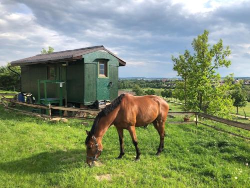 Tiny house nad vinicí