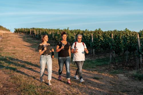 three women walking through a vineyard in a field at Weinhotel Wasem in Ingelheim am Rhein
