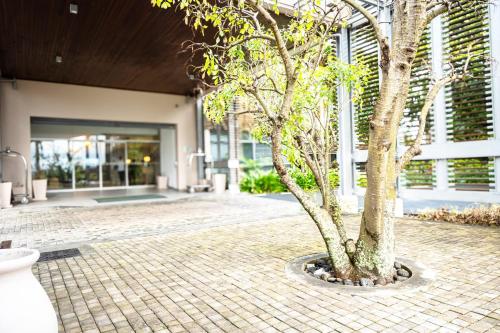 a tree in a courtyard next to a building at Holiday Inn Mauritius Mon Trésor by IHG in Blue Bay