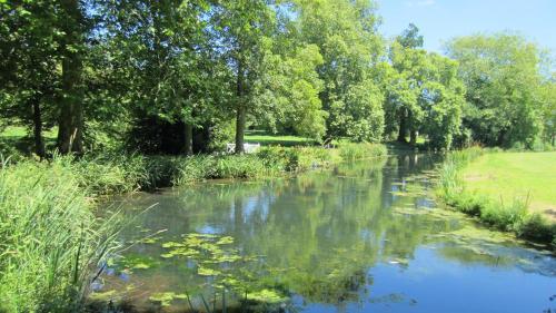 a river in a park with trees and grass at Château de Boucéel - Mont Saint Michel in Vergoncey