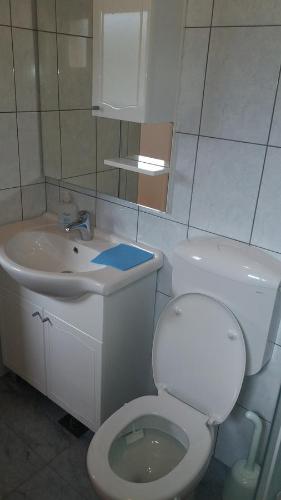 A bathroom at Apartment Cvijanović