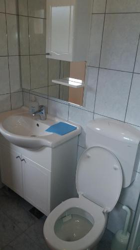 Koupelna v ubytování Apartment Cvijanović