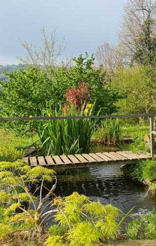 a wooden bridge over a stream in a garden at Tana della Lavanda in Montefiorino