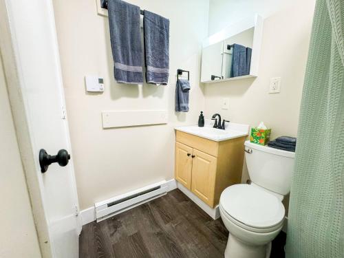une petite salle de bain avec toilettes et lavabo dans l'établissement NEW - Mins to Manchester - Concord - Riverfront, à Hooksett
