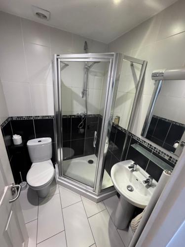a bathroom with a shower and a toilet and a sink at The Pilot Boat Inn, Isle of Wight in Bembridge