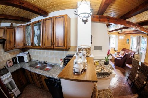 a kitchen with wooden cabinets and a counter top at Chata 70 Dřevěnka Prkenný Důl, Žacléř, Krkonoše in Žacléř
