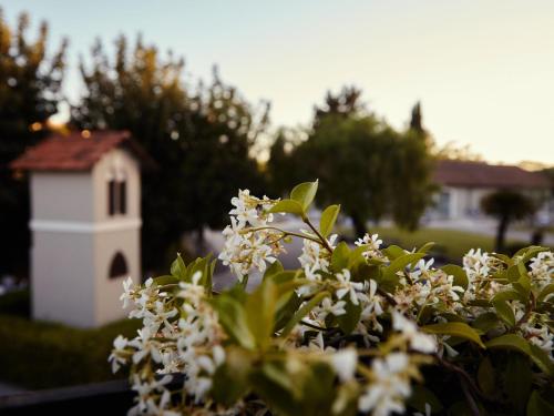 Taman di luar Mercure Villa Romanazzi Carducci Bari