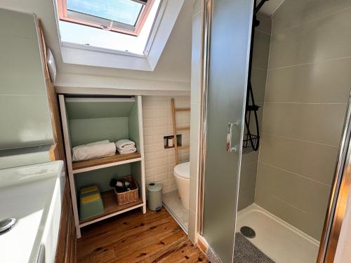 a bathroom with a shower and a toilet with a skylight at HappyStay Family House By Dream Apartments in Chessy