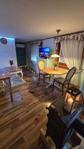 Televisyen dan/atau pusat hiburan di Woodland - Apartments & SPA Łagów