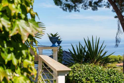 two blue vases sitting on a table with plants at Hotel Sant'Andrea in Marciana