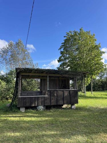 an old truck sitting in the grass in a field at Pangamäe puhkemaja in Lokuta
