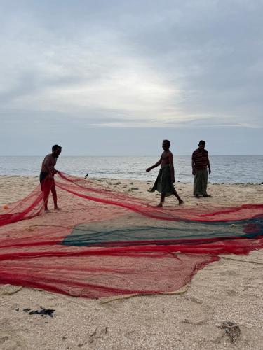 a group of people on the beach with a kite at Coconut Bay Marari in Mararikulam