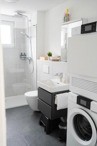Un baño con inodoro, lavabo y ducha. en SimpleGlow I Lucerne I Andermatt I Nature I Family, en Altdorf