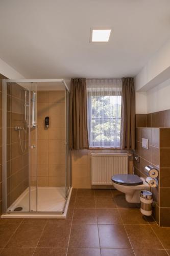 a bathroom with a shower and a toilet and a sink at Hotel STARÝ MLÝN in Jeseník