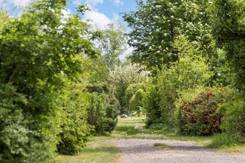 a path through a garden with trees and bushes at 30171-Odder-Pouli-Nielsensvej-71 in Beder