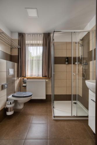 a bathroom with a shower and a toilet and a sink at Hotel STARÝ MLÝN in Jeseník