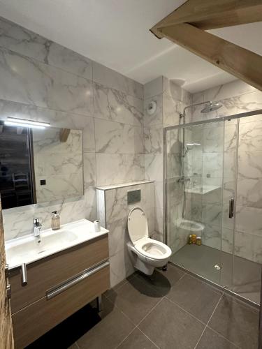 a bathroom with a toilet and a shower and a sink at Appartement Chalet Des Lacs in L'Alpe-d'Huez