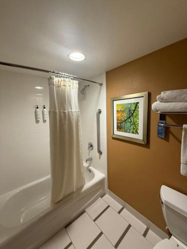 un bagno con vasca, WC e doccia di Fairfield Inn and Suites by Marriott Atlanta Suwanee a Suwanee
