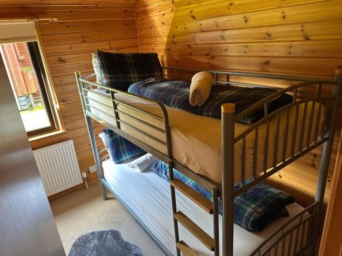 a bedroom with two bunk beds in a cabin at Ben Lomond Lodge in Rowardennan
