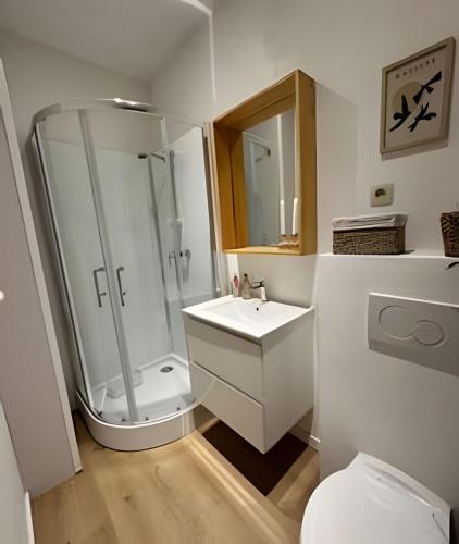 ein Badezimmer mit Dusche, Waschbecken und Toilette in der Unterkunft Charming Apartment in Saint-Gilles, Brussels, Perfect Getaway in Brüssel