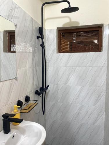 a bathroom with a shower and a sink at Charmant T2 a Mtsapere Mamoudzou in Mamoudzou