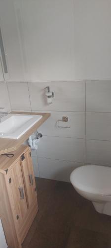 a bathroom with a white sink and a toilet at Lexahaus in Liesing