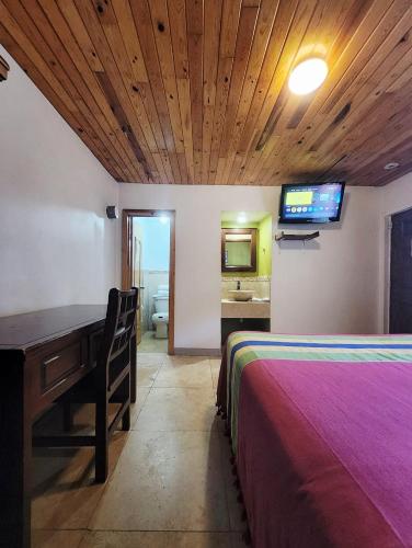TV a/nebo společenská místnost v ubytování Hotel Ecológico Temazcal