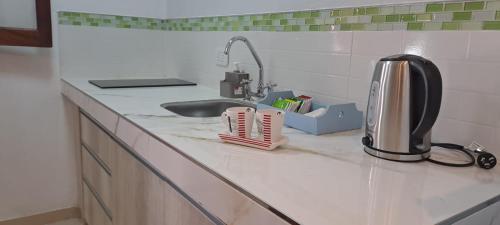 eine Küchentheke mit einer Spüle und einem Toaster in der Unterkunft Complejo Los Azahares in Presidencia Roque Sáenz Peña